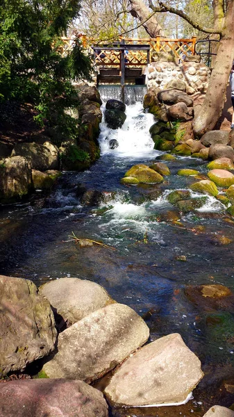 Aan Oever Van Een Kleine Waterval — Stockfoto