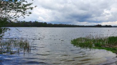 Bulutlu bir günde Gölün kıyısında