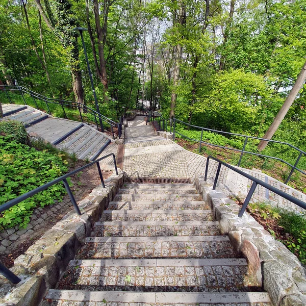 Crossing Stone Stairs Forest People — Stock Photo, Image