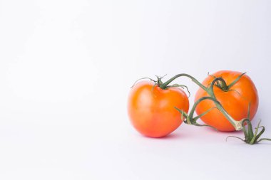 Beyaz arkaplanda domatesler