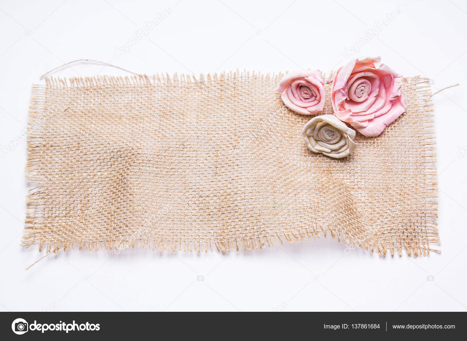 3 月8 日粉色的白色背景上的花朵 图库照片 C Olesya Katkova List Ru