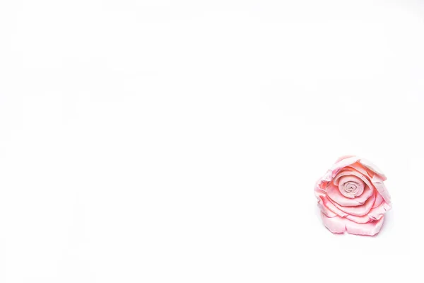 Beyaz zemin üzerine 8 Mart pembe çiçekler