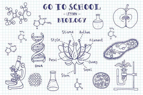 hand drawn signs of biology