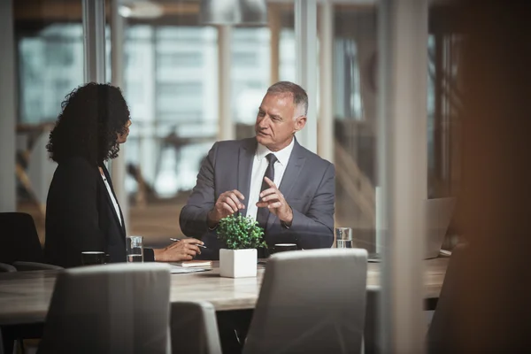 Businessman and colleague discussing business in office — Stock Photo, Image