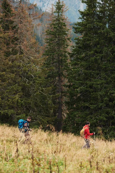 Dwaj mężczyźni trekking w lesie — Zdjęcie stockowe