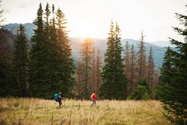 Män ut tillsammans i skogen — Stockfoto