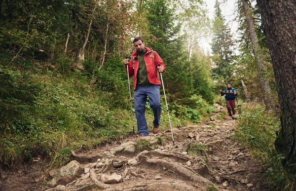 Hombres caminando por el bosque — Foto de Stock