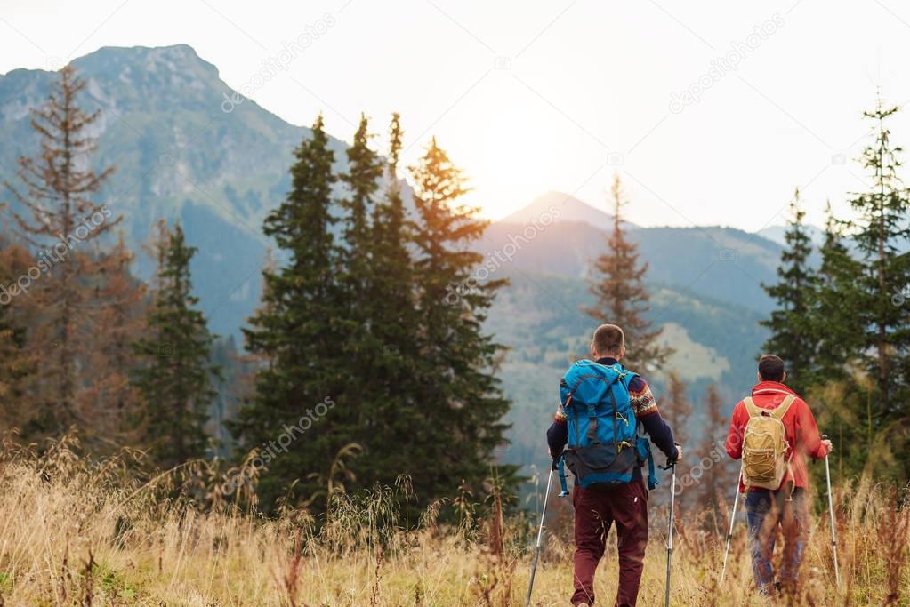 Men walking in field while hiking in wilderness