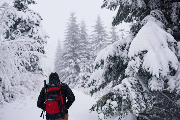 冬のハイキング中に森の中の雪に覆われた道を歩くハイキングギアの男の眺め — ストック写真