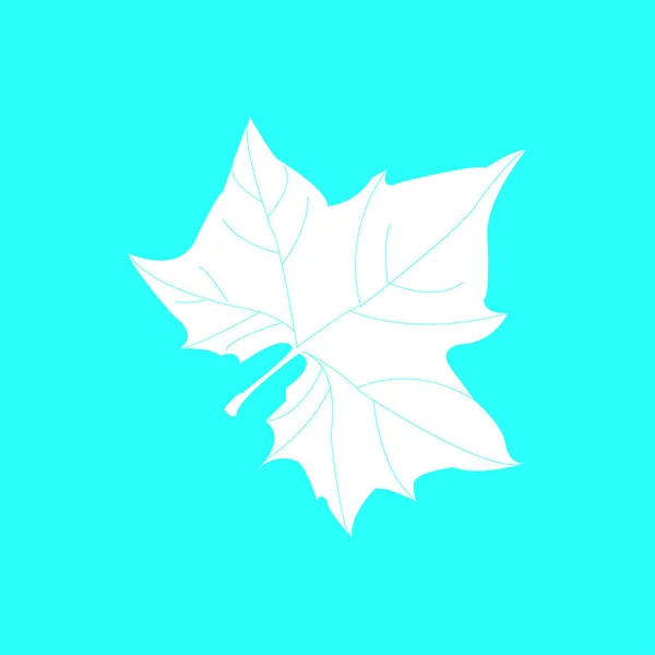 Maple leaf siluett — Stock vektor