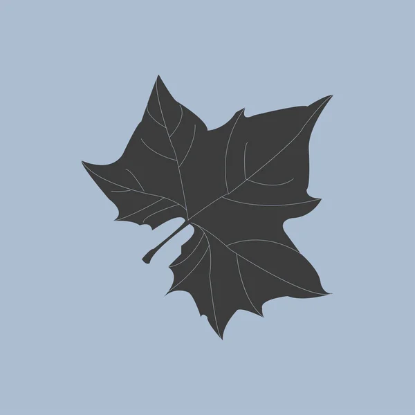 Akçaağaç yaprağı siluet — Stok Vektör