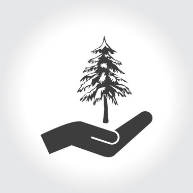 köknar ağacı el simgesi