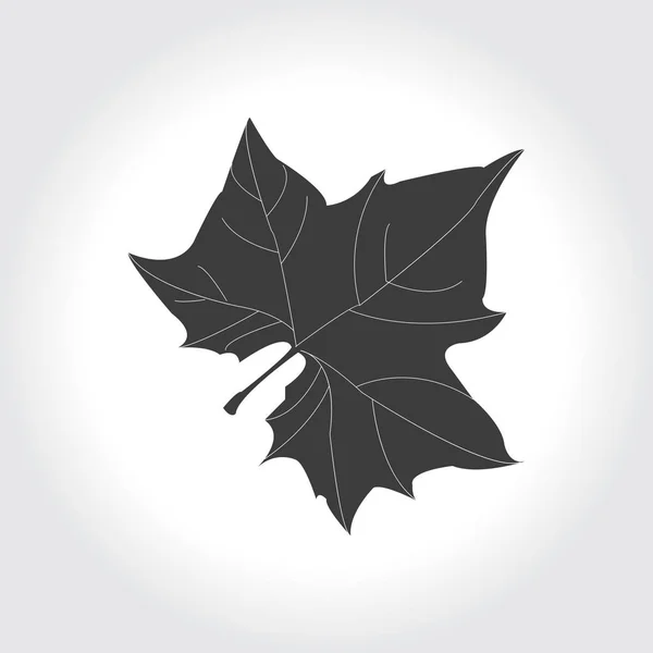 Silhouette de feuille d'érable — Image vectorielle