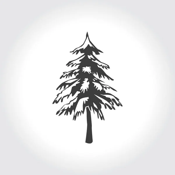 Fenyő fa ikonra — Stock Vector