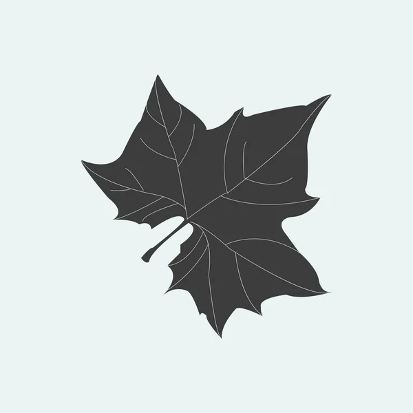 Maple leaf σιλουέτα — Διανυσματικό Αρχείο