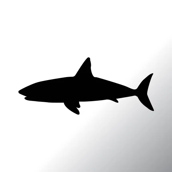 Επίπεδη εικόνα του καρχαρία — Διανυσματικό Αρχείο