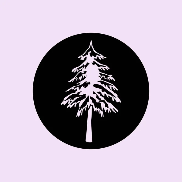 Spruce tree icon — Stock Vector