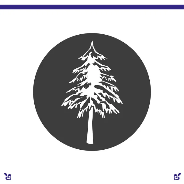 Fenyő fa ikonra — Stock Vector