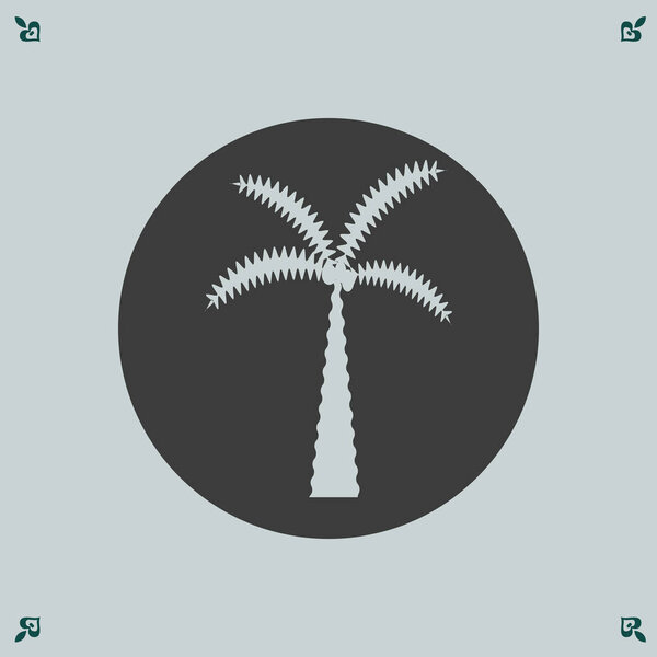tree icon, palm