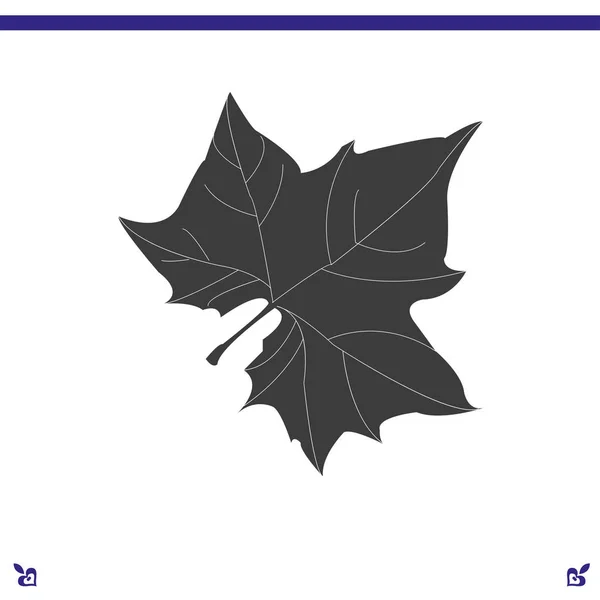 Maple Leaf silueta pro návrh — Stockový vektor