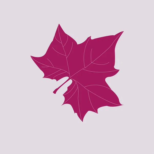 Maple Leaf σιλουέτα για το σχέδιό σας — Διανυσματικό Αρχείο