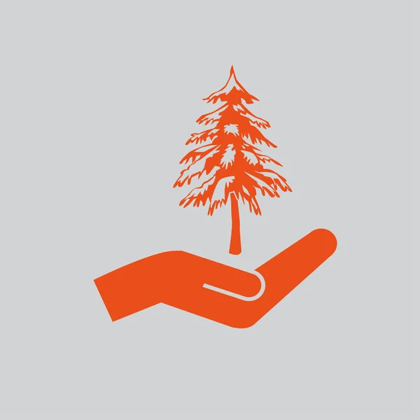Spruce ikon illustration — Stock vektor