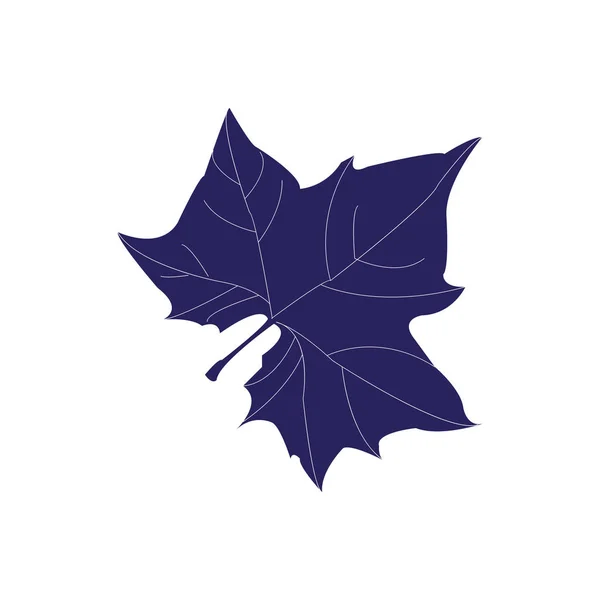 Maple Leaf icon — Stock Vector
