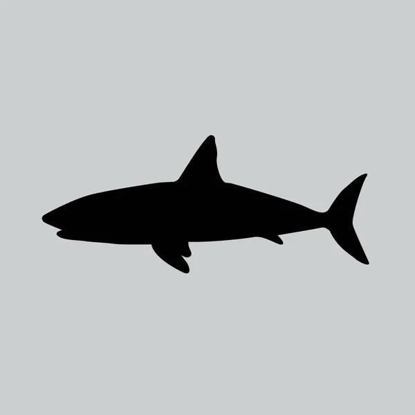 Ícone plano de tubarão — Vetor de Stock