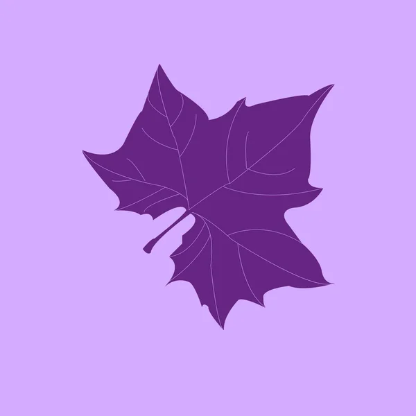 Silhouette de feuille d'érable — Image vectorielle