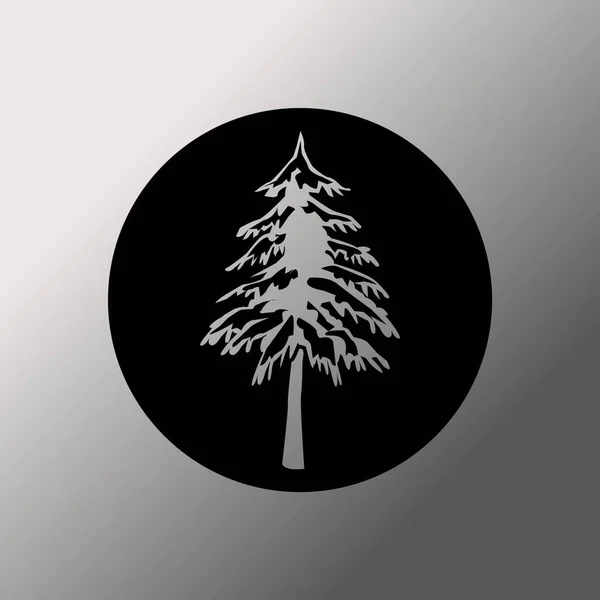 Symbol stromu, smrk — Stockový vektor