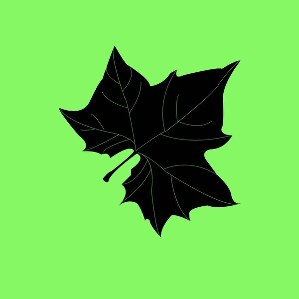 Maple Leaf Σιλουέτα Για Σχέδιό Σας Εικονογράφηση Διάνυσμα Πράσινο Φόντο — Διανυσματικό Αρχείο