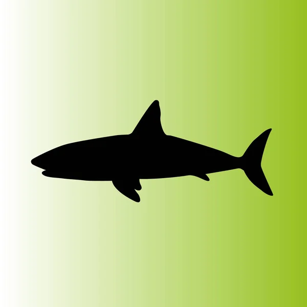 Ilustração Ícone Vetor Tubarão — Vetor de Stock