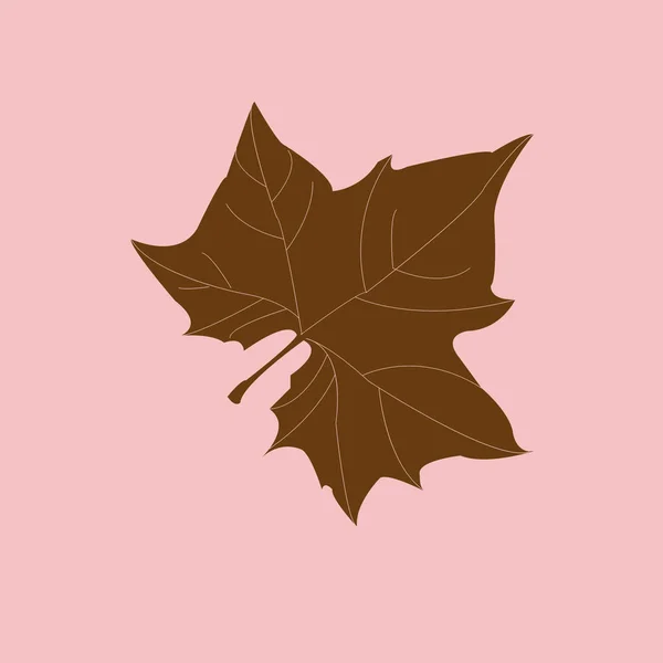 Maple Leaf Siluett För Din Design Vektor Illustration — Stock vektor