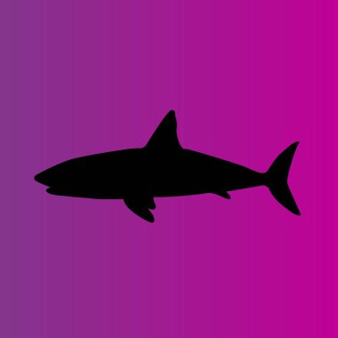  basit köpekbalığı vektör simgesi