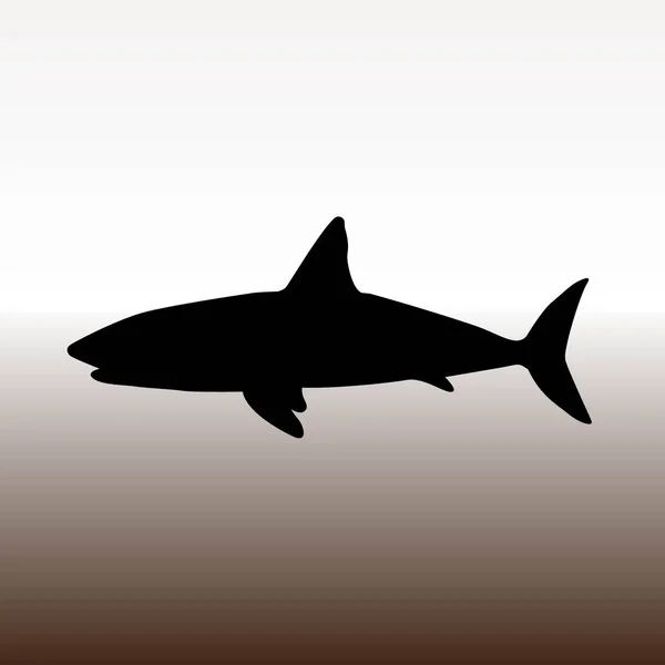 Εικονίδιο Web Καρχαρία Εικονογράφηση Φορέα Διαβάθμισης Καφέ Και Λευκό — Διανυσματικό Αρχείο