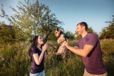 Genç mutlu çift doğa üzerinde çocuk kız köpek - yorkshire korkunç hediye olarak verir