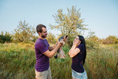 Genç mutlu çift doğa üzerinde çocuk kız köpek - yorkshire korkunç hediye olarak verir