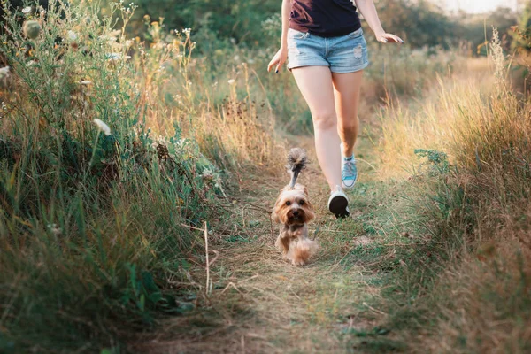 Молодая привлекательная спортивная девушка бегает с собакой в парке — стоковое фото