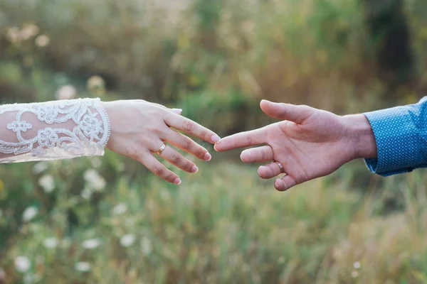 Hochzeitspaar hält Händchen für die Natur — Stockfoto