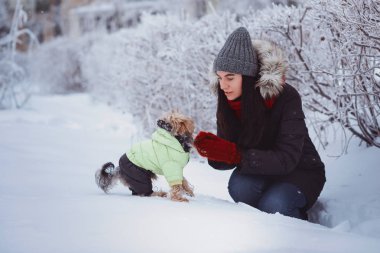 Eğlenmek dışında köpeğini Yorkshire Terrier ile karda çekici genç kadın. Şirin bir köpek olan kadın