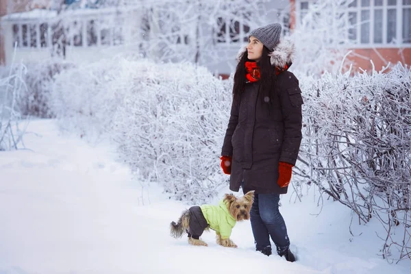 Atractiva Joven Mujer Divirtiéndose Afuera Nieve Con Perro Yorkshire Terrier — Foto de Stock