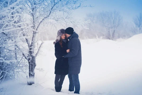 Casal Amoroso Numa Caminhada Inverno Neve História Amor Magia Inverno Imagem De Stock