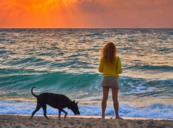 Vedere Din Spate Femeii Câinelui Picioare Plajă Fundal Colorat Apus — Fotografie, imagine de stoc