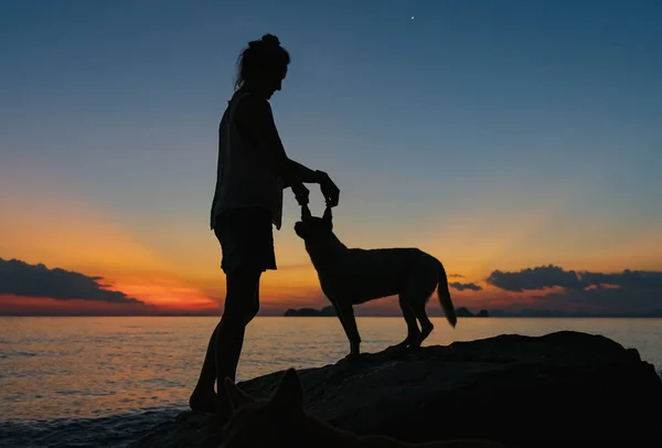 Femme Chien Bord Mer Sur Fond Coucher Soleil — Photo