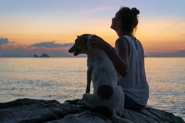 woman and dog at sea shore on sunset background