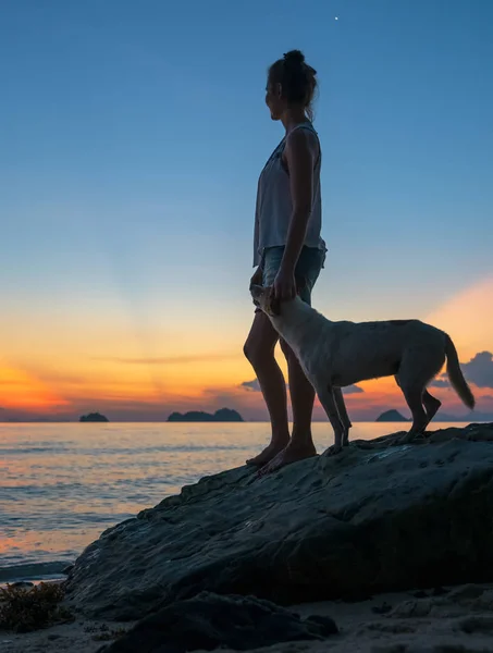 Kvinna Och Hund Vid Havet Strand Solnedgången Bakgrund — Stockfoto