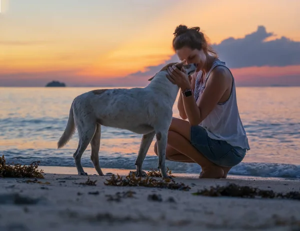woman and dog at sea shore on sunset background
