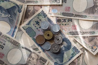 Japonya banknot ve madeni para