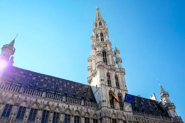 Grand Place, Brussels, Belçika