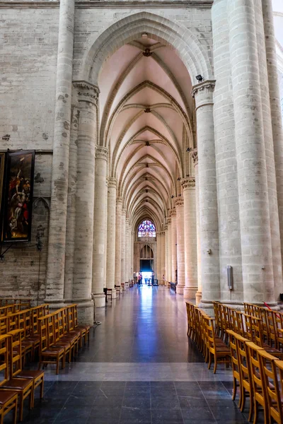 Aziz Michael ve St. Gudula, Brüksel katedral